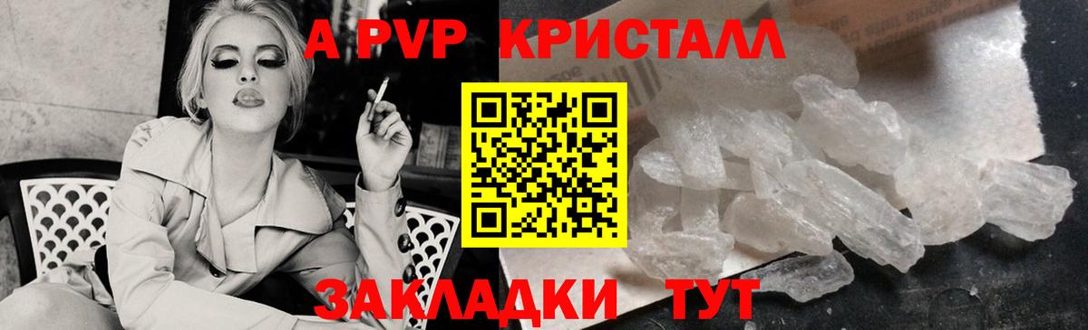 А ПВП СК КРИС Великий Новгород