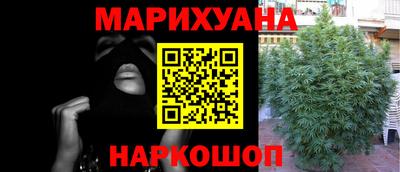 стаф Аргун