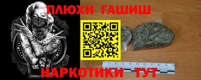 стаф Аргун